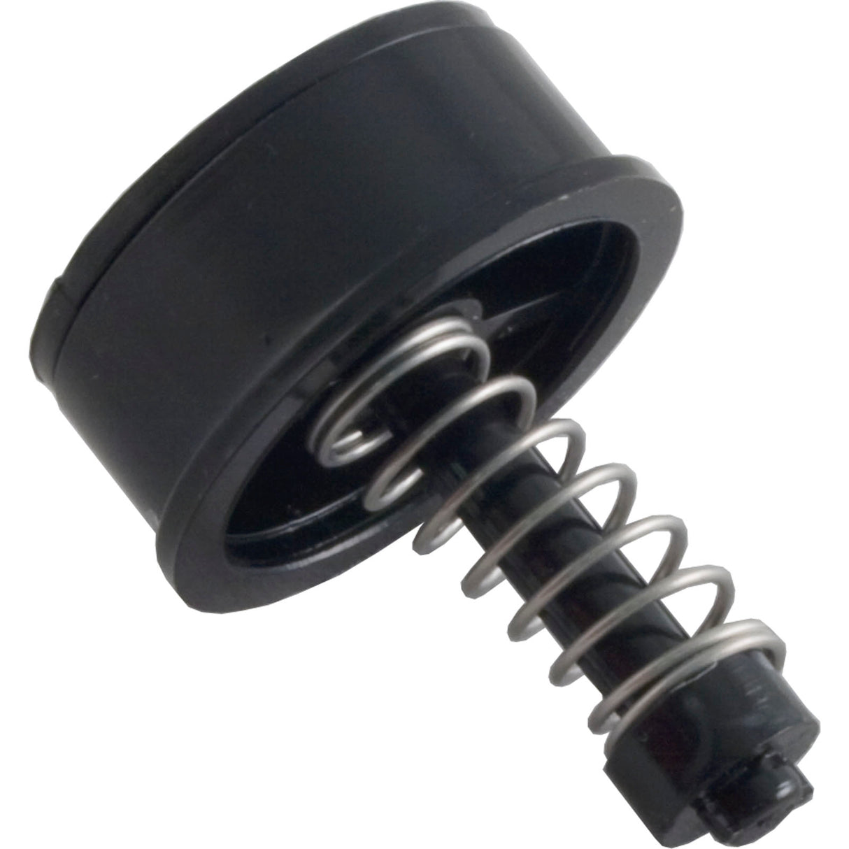 Bypass Plug, Pentair Rainbow RDC/RTL/DSF, 1-1/2" : R172226X - Rainbow/Pentair - R172226X - PartsForSpas.com