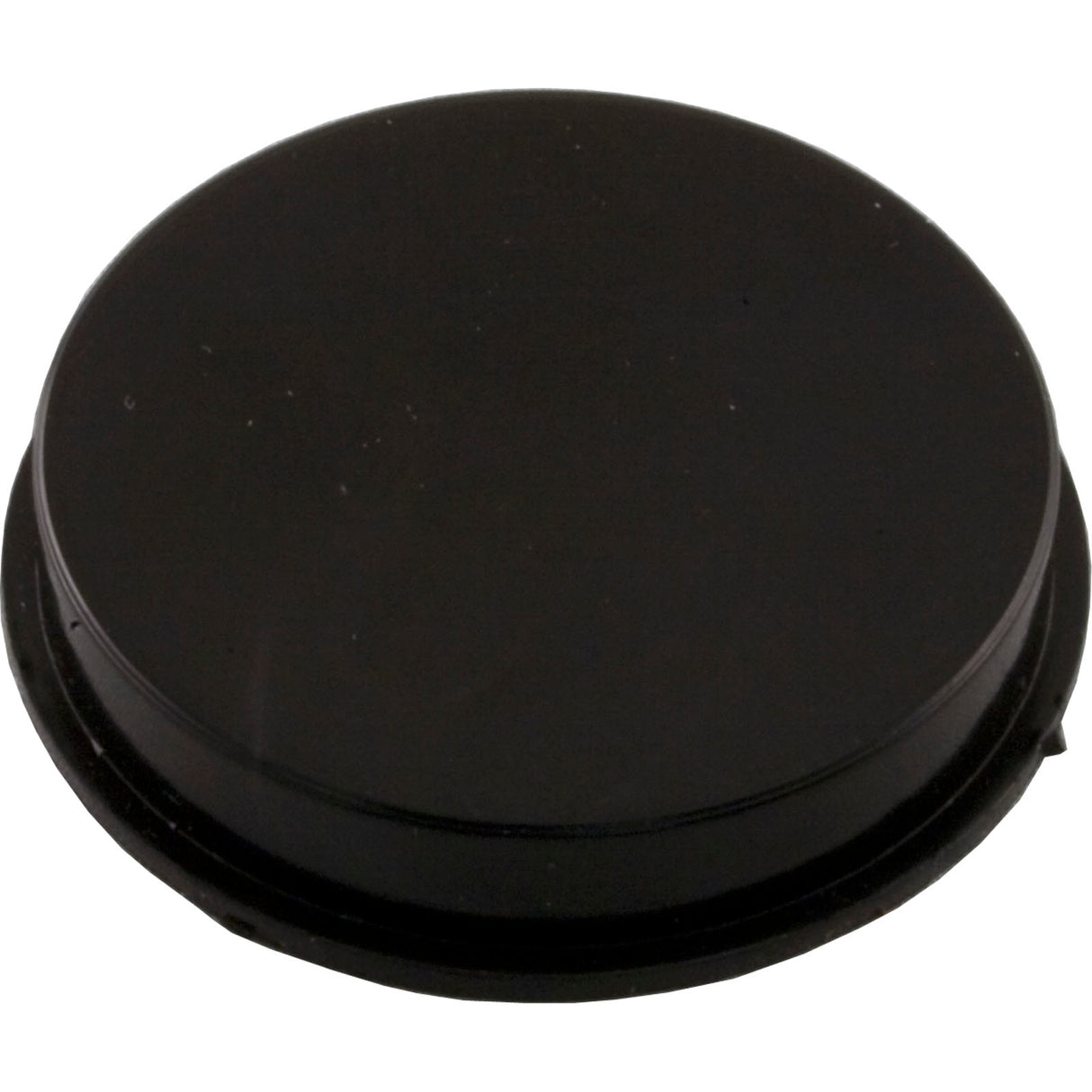 Bypass Plug, Pentair Rainbow RDC/RTL, 1-1/2" : R172225X - Rainbow/Pentair - 788379702212 - PartsForSpas.com