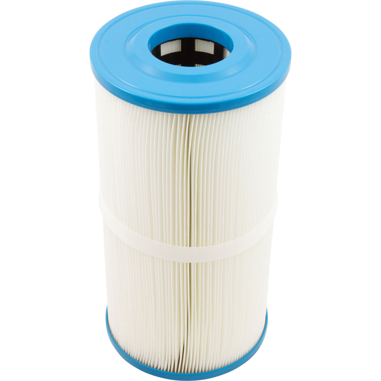 Cartridge, Raypak Protege RPCFP50 : 018240F