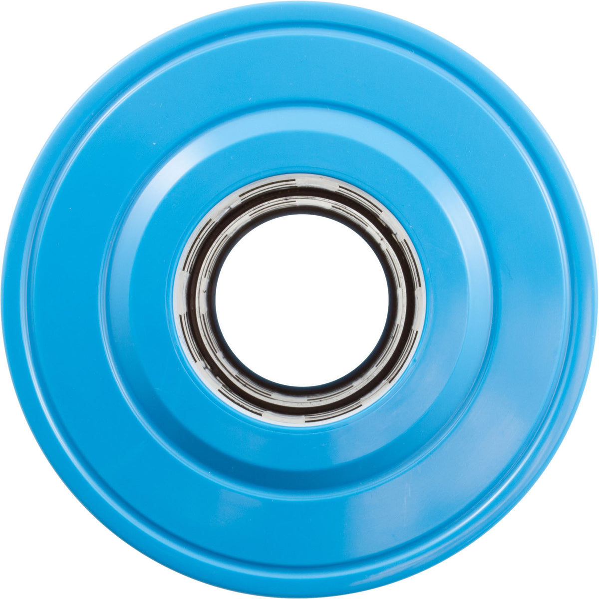 Cartridge, Raypak Protege RPCFP50 : 018240F