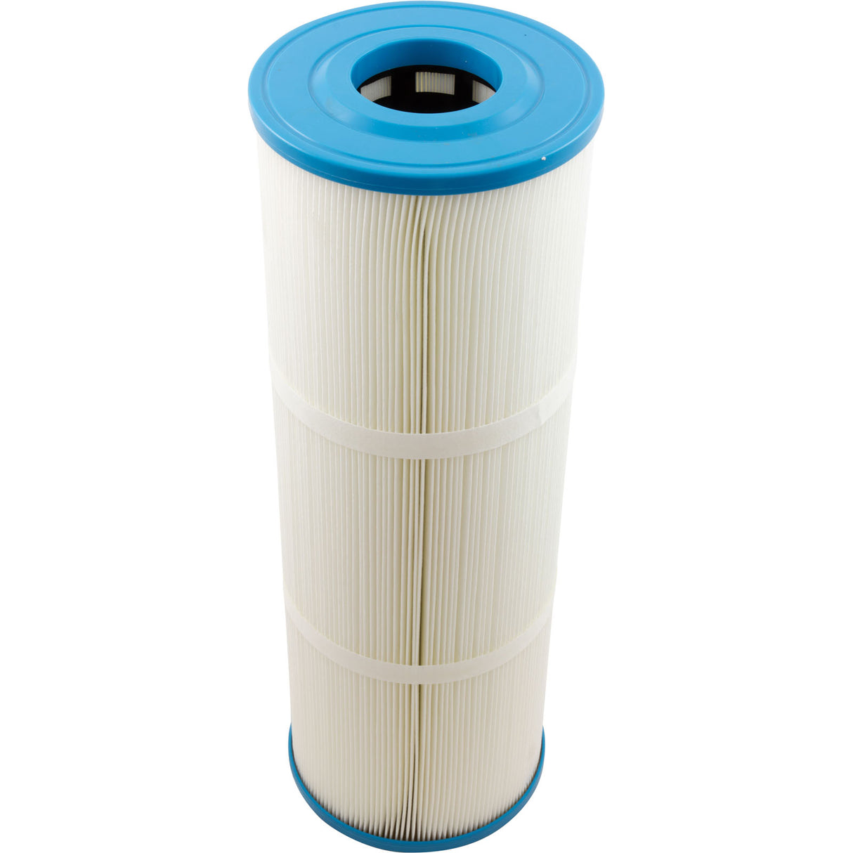 Cartridge, Raypak Protege RPCFP202 : 018244F