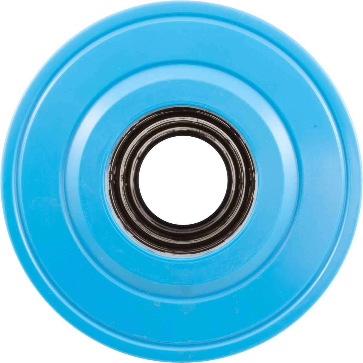 Cartridge, Raypak Protege RPCFP202 : 018244F