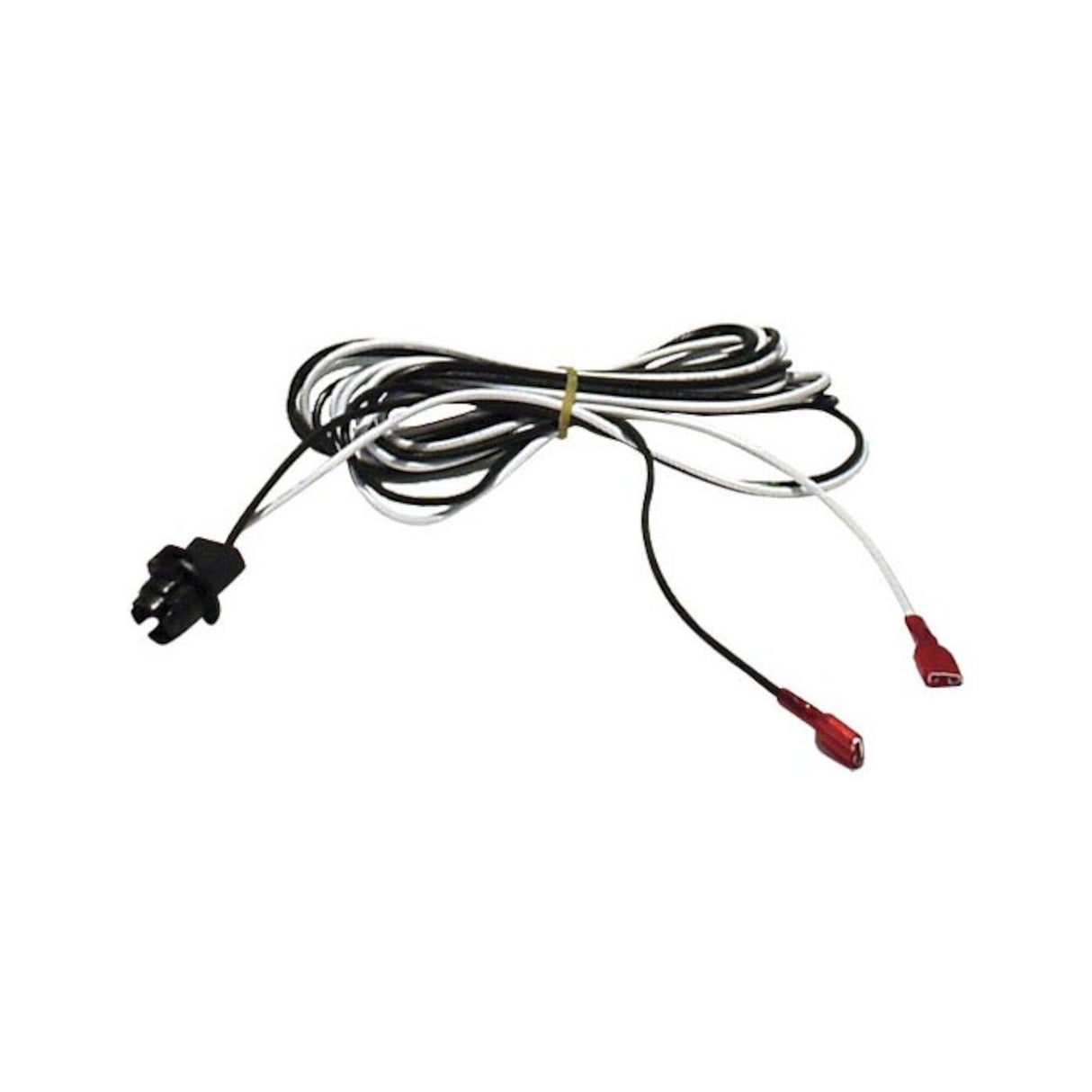 Light Socket, HydroQuip w/8' MSPA Cable : 9920-400178