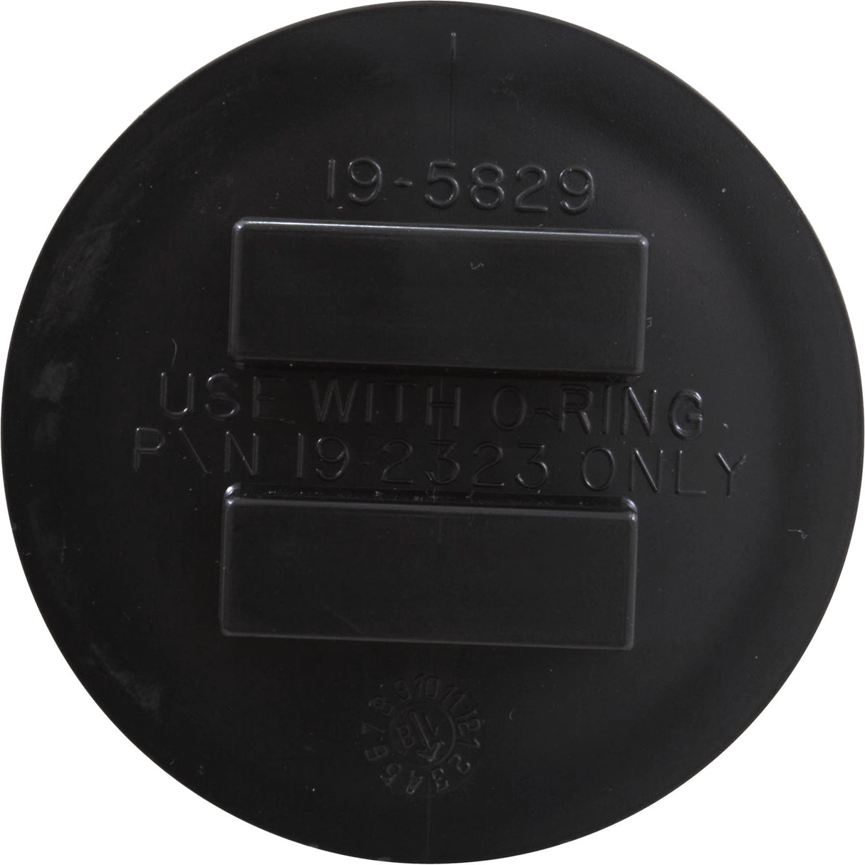 Plug-2" W/ O-Ring : 195830 - Pentair - 788379673994 - PartsForSpas.com