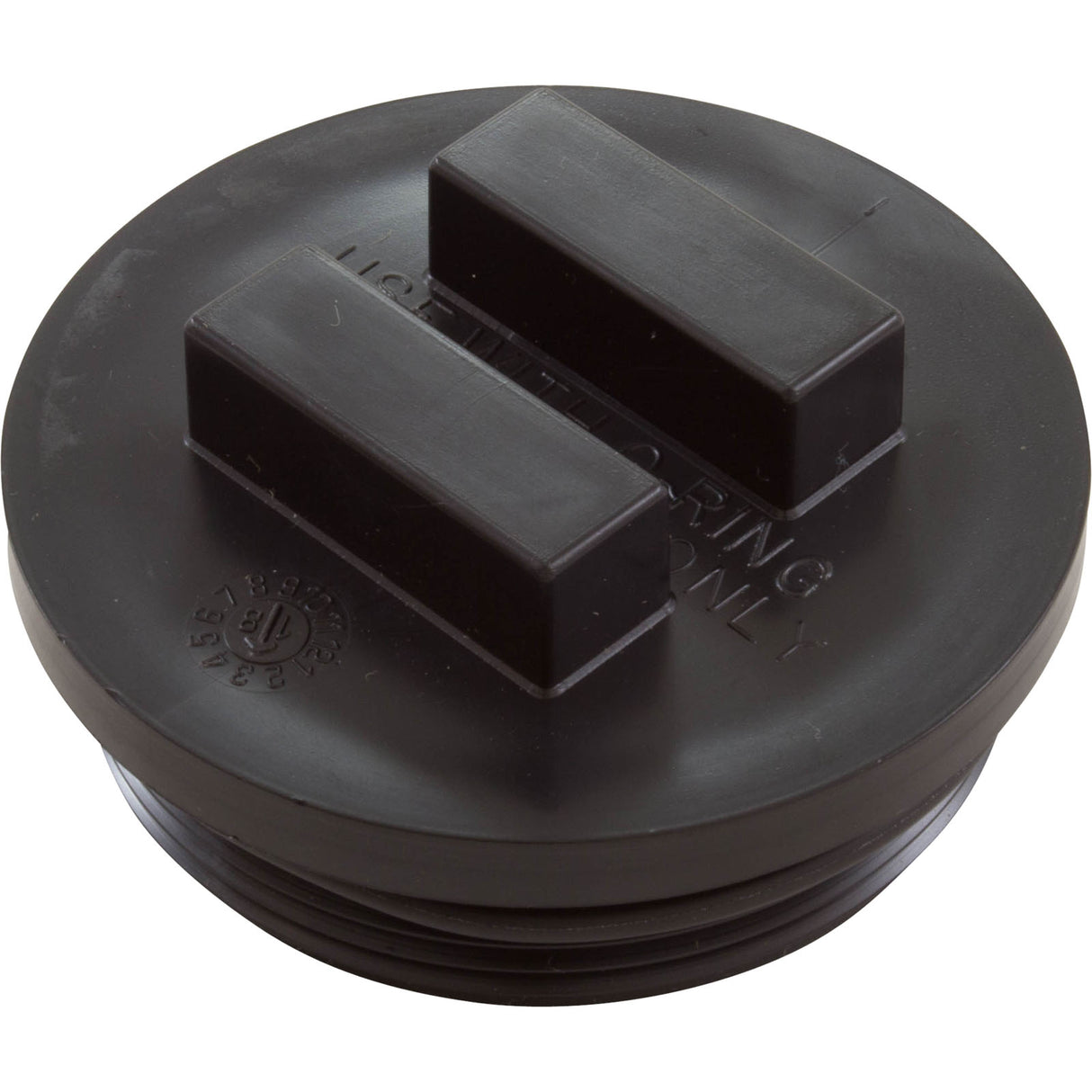 Plug-2" W/ O-Ring : 195830 - Pentair - 788379673994 - PartsForSpas.com