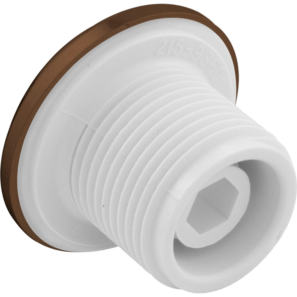 Ozone Wallfitting 1" Dia. Thread : 215-9860-OB - Waterway Plastics - 215-9860-OB - PartsForSpas.com