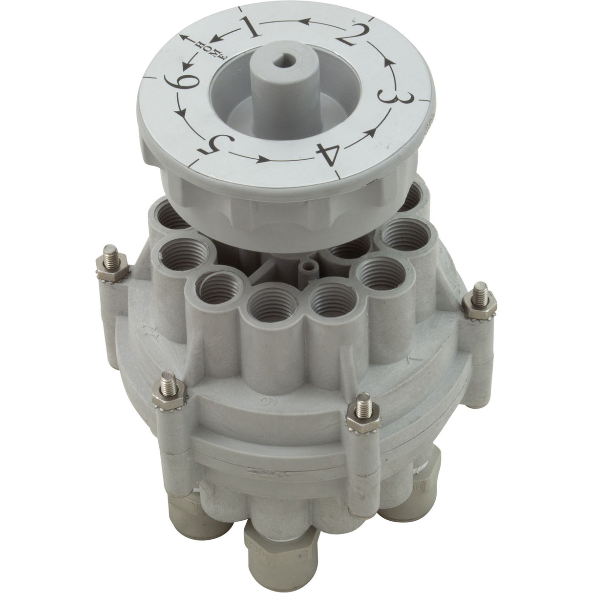 Multiport Valve, Paragon Stark, for 02 Tank System : MV250-02 - Paragon Aquatics (Pentair) - MV250-02 - PartsForSpas.com