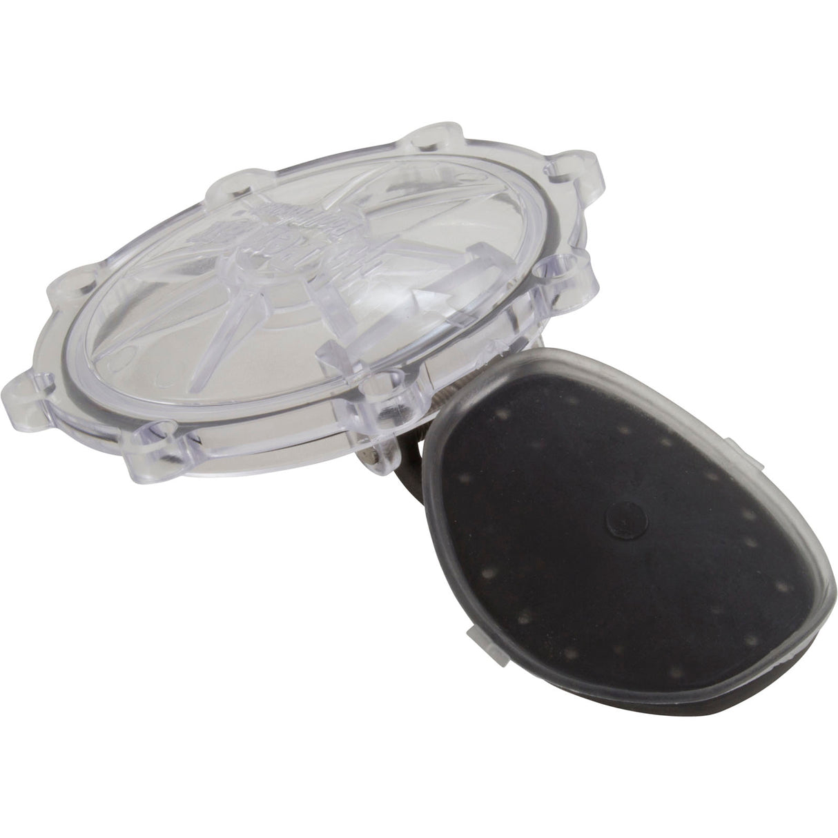 Rebuild Kit, Check Valve, Pentair CPVC 2" : 263042Z - Pentair - 788379786939 - PartsForSpas.com