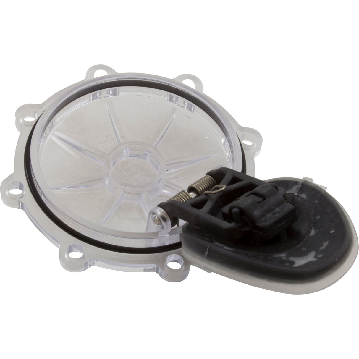 Rebuild Kit, Check Valve, Pentair CPVC 2" : 263042Z - Pentair - 788379786939 - PartsForSpas.com