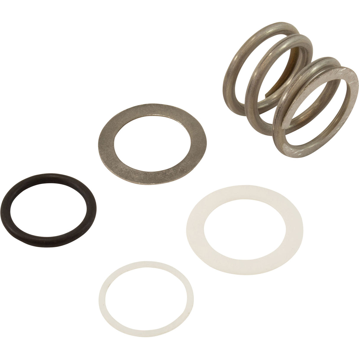 Washer, Astral, 2" Multiport Valves, Spring : 4404121103 - Astral Products, Inc. - 4404121103 - PartsForSpas.com