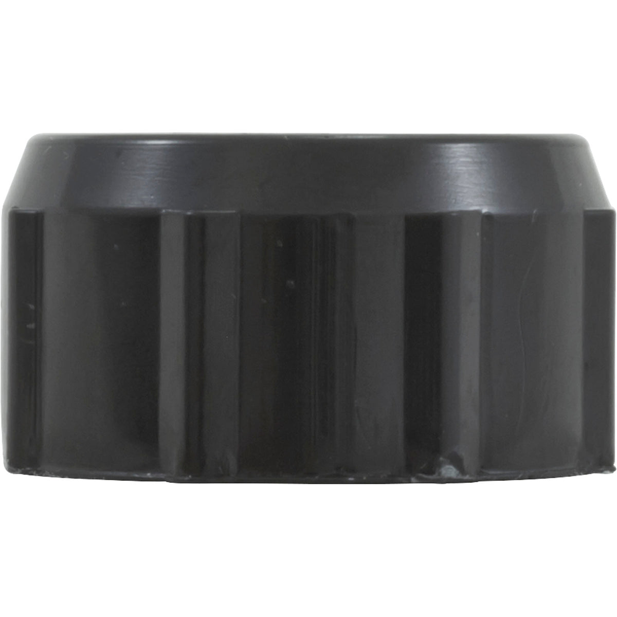 Drain Cap, Waterway Filter On/Off Valve, 1/2"fght, Black : 519-0231