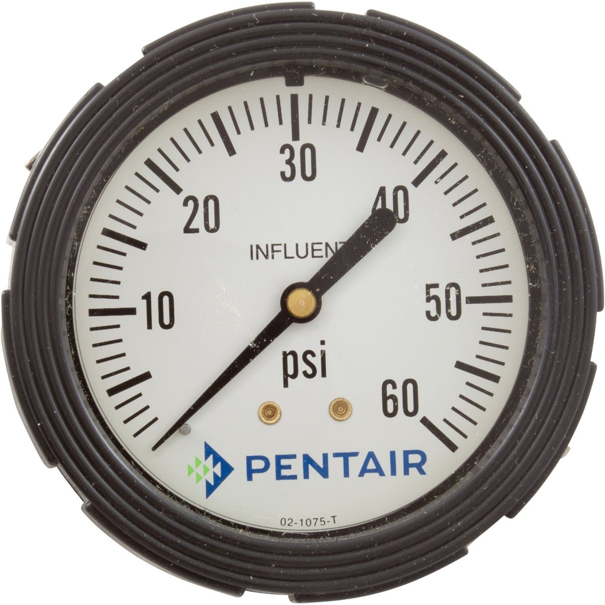 Influent Pressure Gauge, Paragon Stark, 0-60psi : 4615