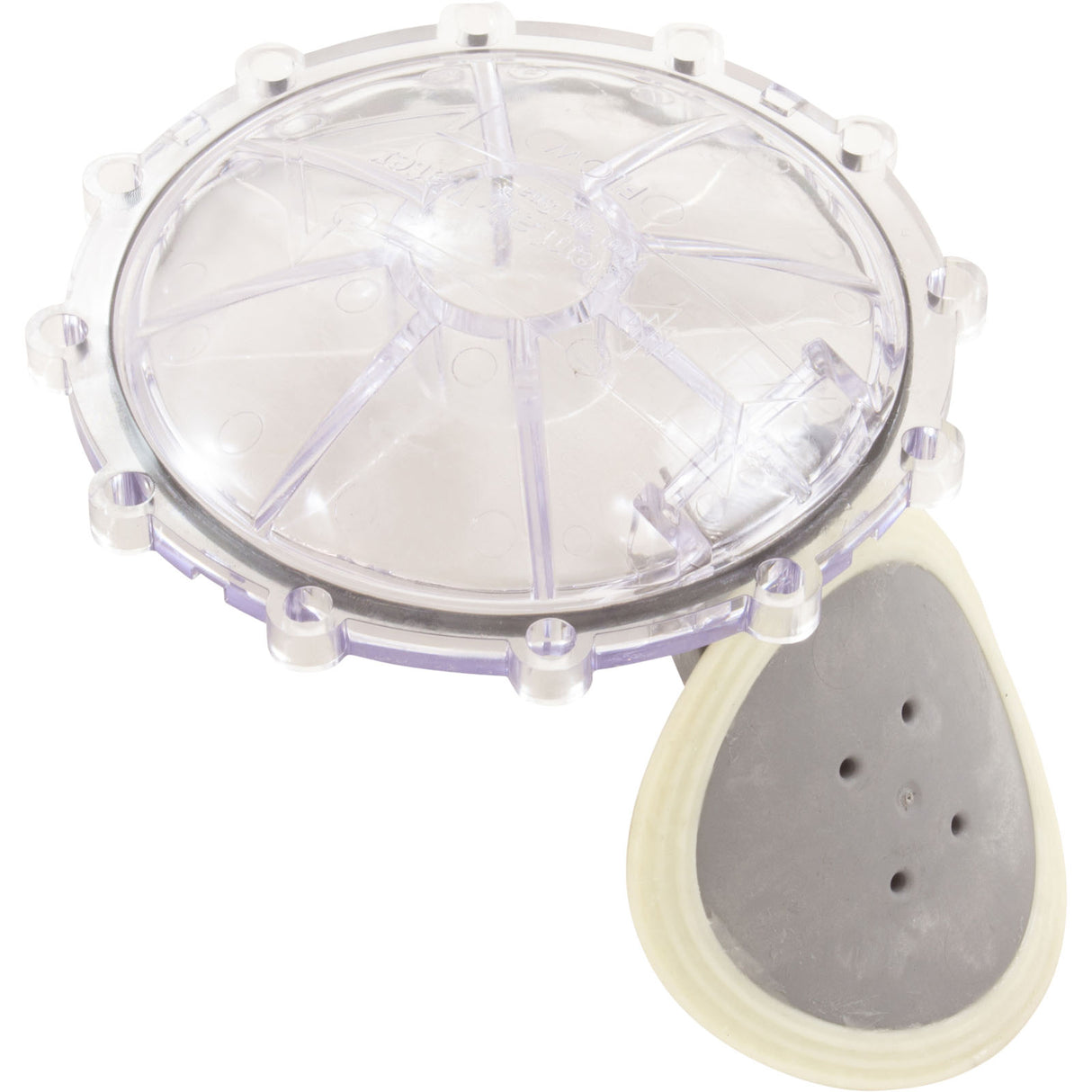 Flapper Chk Vlv Rplcmnt : 270119Z - Pentair - 788379852610 - PartsForSpas.com