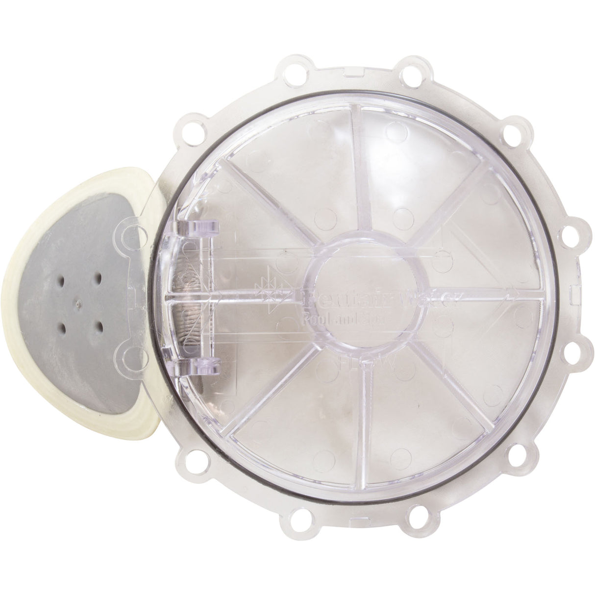 Flapper Chk Vlv Rplcmnt : 270119Z - Pentair - 788379852610 - PartsForSpas.com