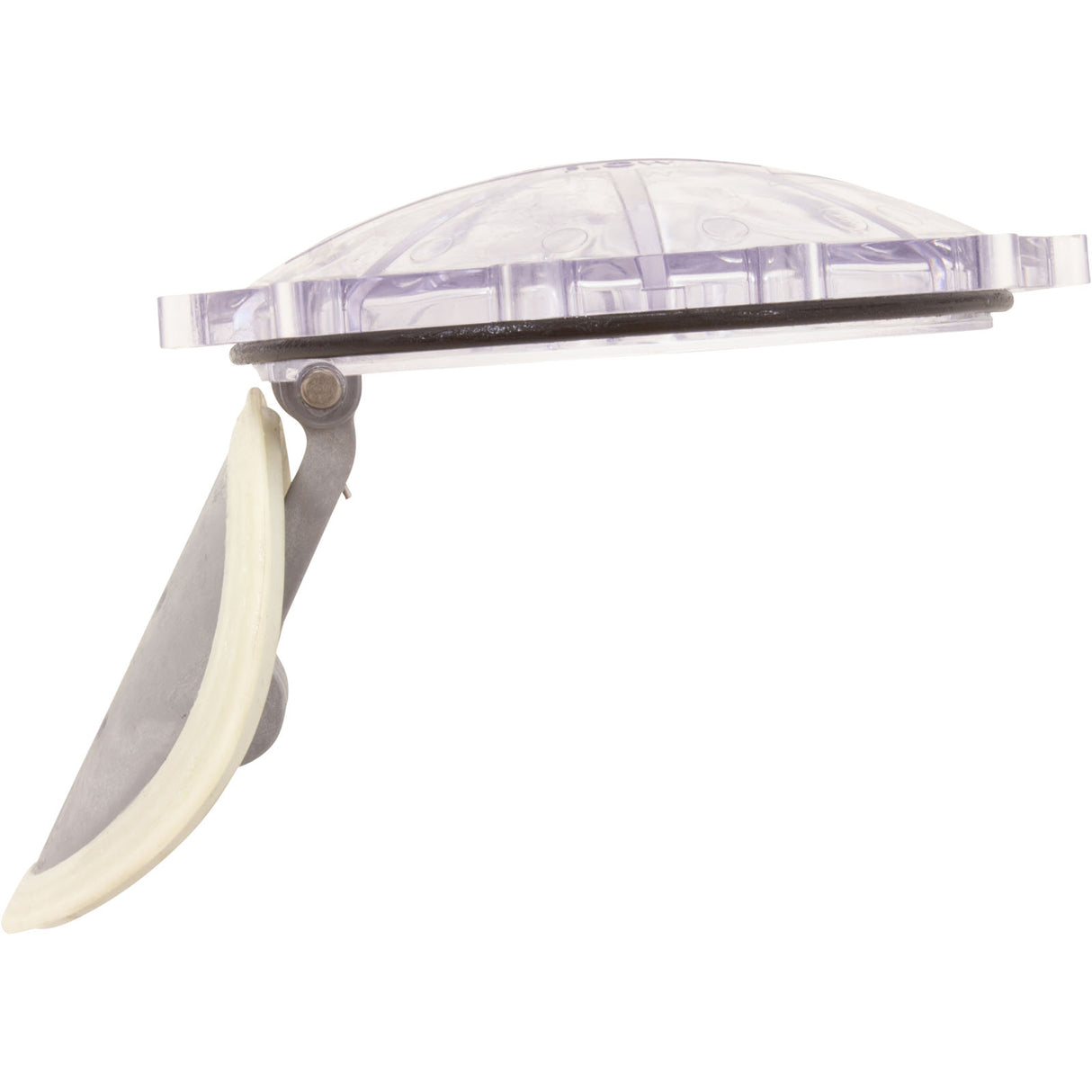 Flapper Chk Vlv Rplcmnt : 270119Z - Pentair - 788379852610 - PartsForSpas.com