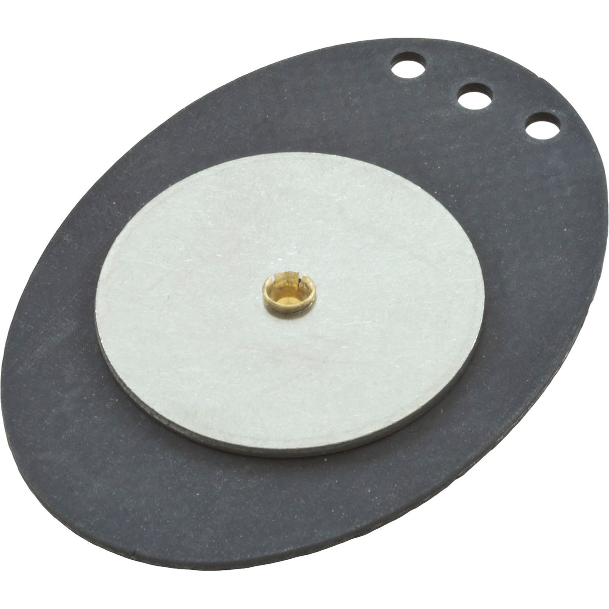 Diaphragm 2"Vlv Chk Wt : 272032 - Pentair - 272032 - PartsForSpas.com
