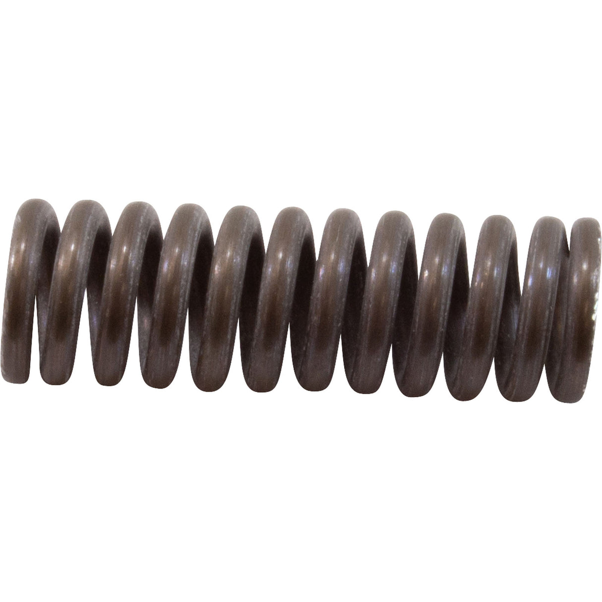 Sprng 1/2" Rplcmnt : 274421Z - Pentair - 788379855604 - PartsForSpas.com