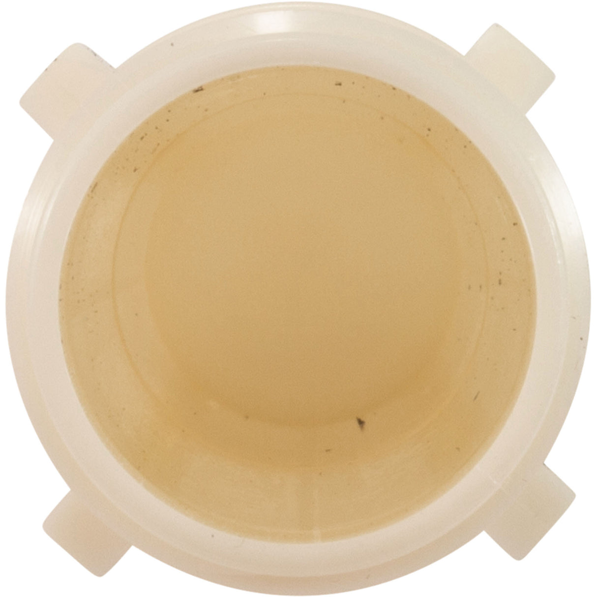 Lateral, Pentair PacFab TA100/TR100, 8 Required : 152202Z - Pentair - 788379885540 - PartsForSpas.com