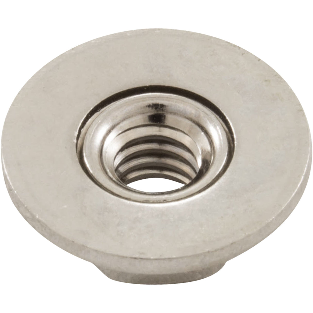 Hex Nut, Hayward S240, with Washer : ECX1645 - Hayward - 0610377757355 - PartsForSpas.com