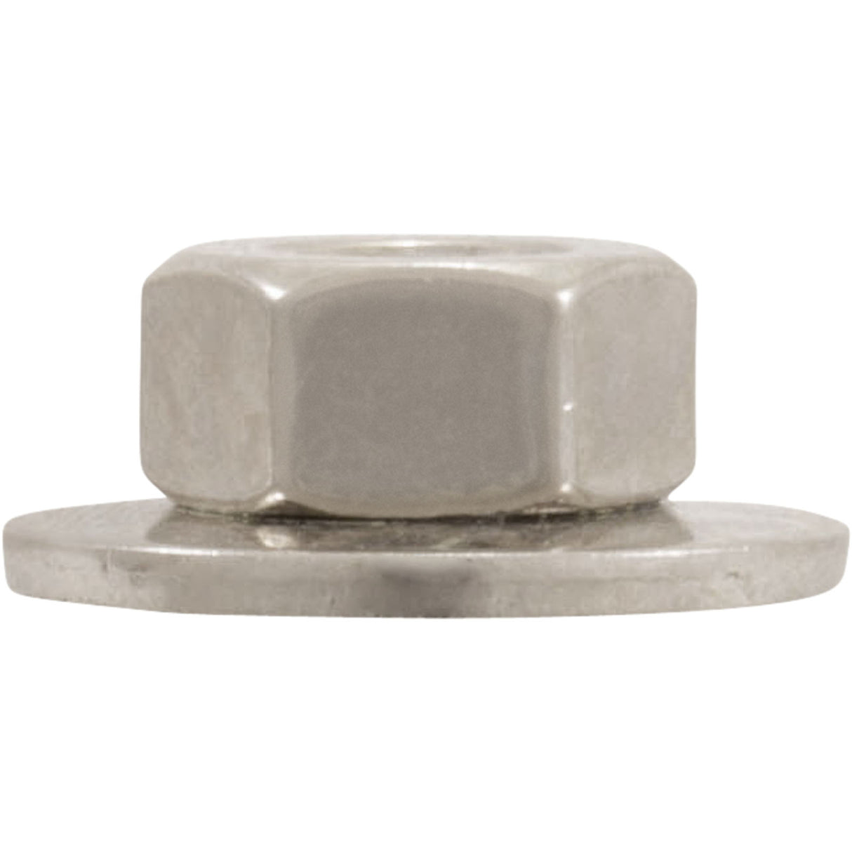 Hex Nut, Hayward S240, with Washer : ECX1645 - Hayward - 0610377757355 - PartsForSpas.com