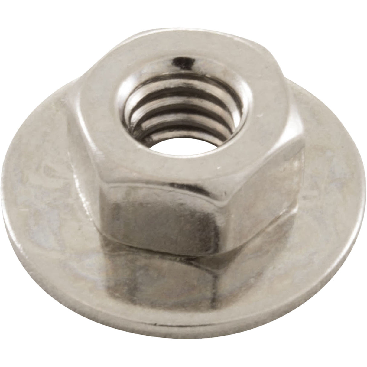 Hex Nut, Hayward S240, with Washer : ECX1645 - Hayward - 0610377757355 - PartsForSpas.com