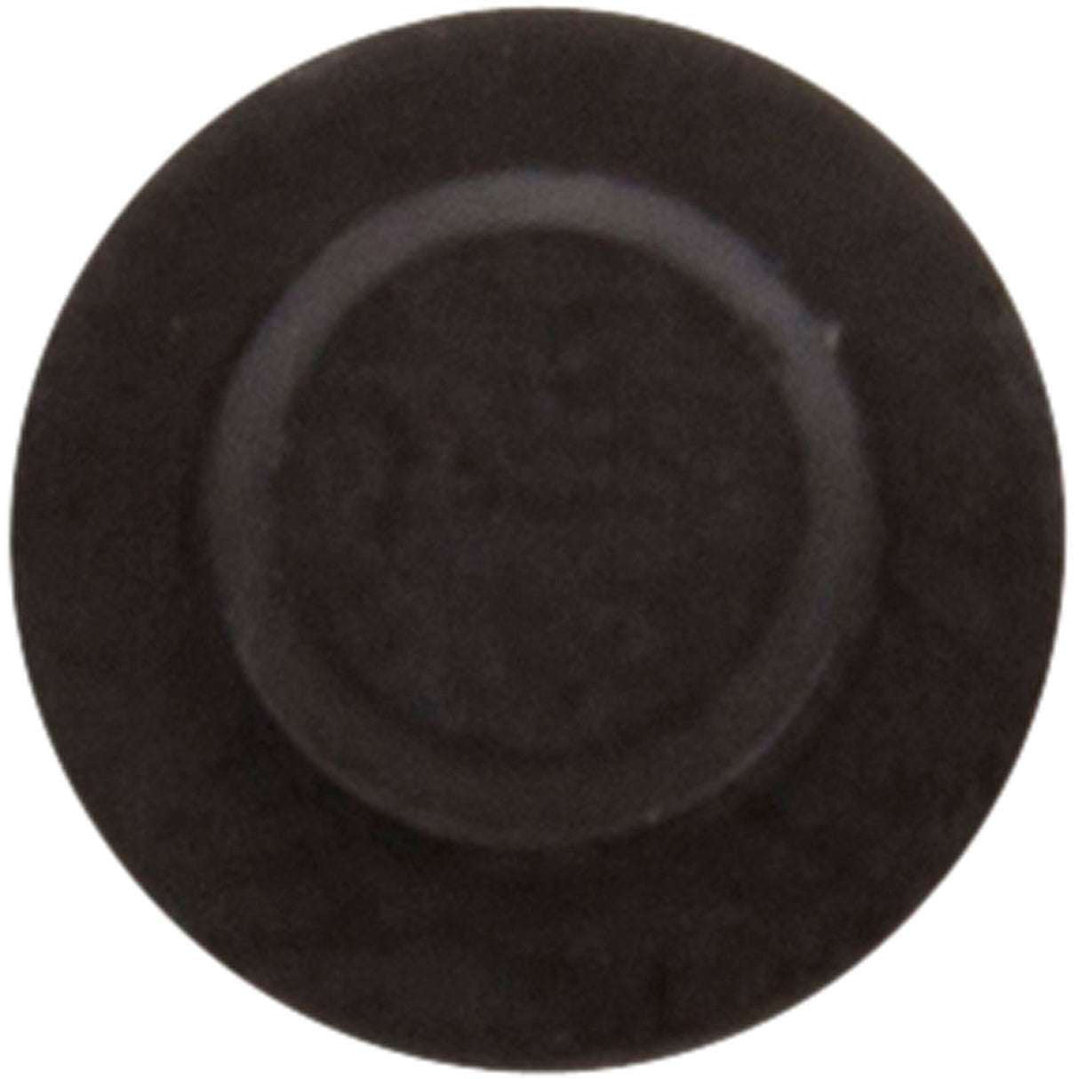 Plug, Air Relief, Astral, Aster Filters : 00648R0202 - Astral Products, Inc. - 00648R0202 - PartsForSpas.com