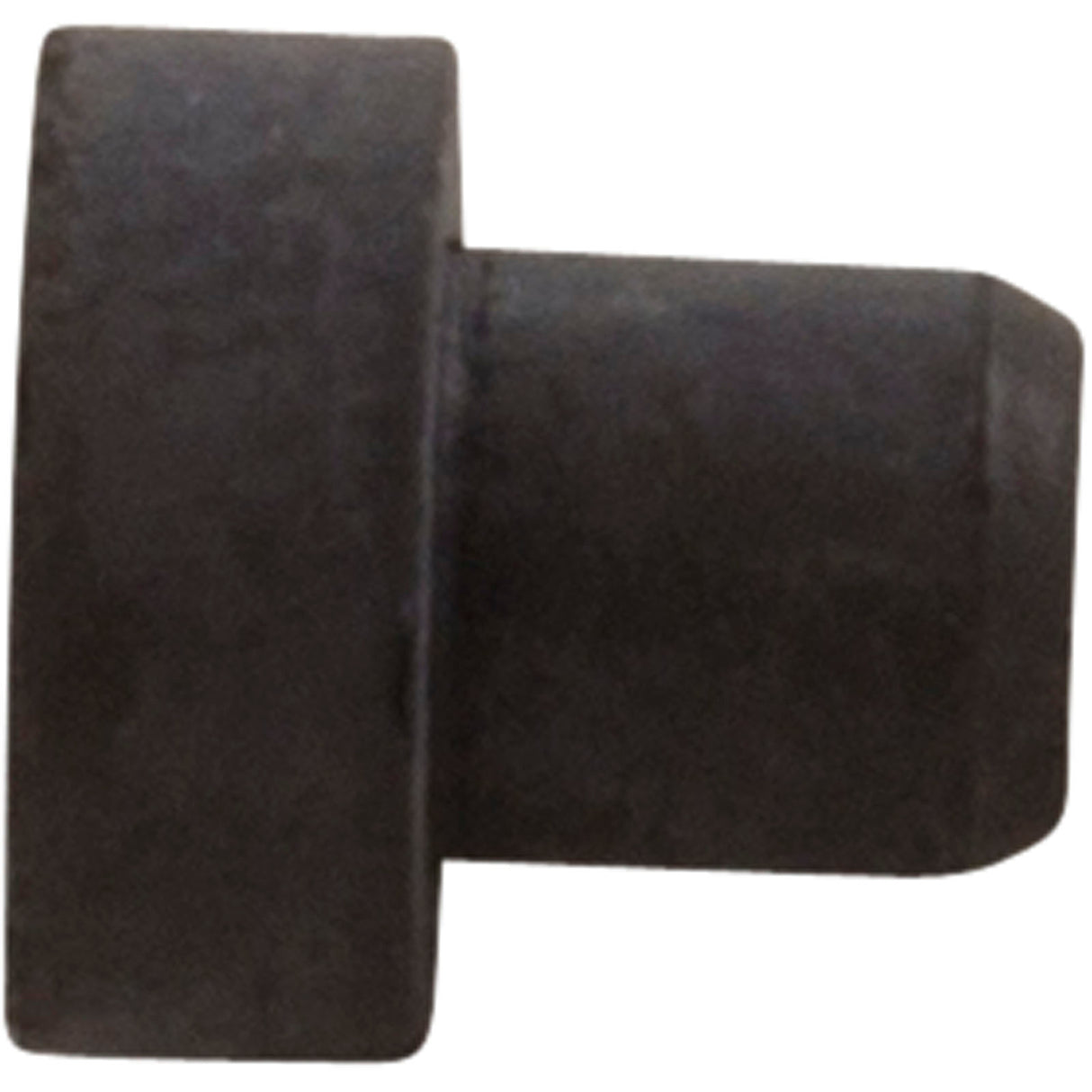 Plug, Air Relief, Astral, Aster Filters : 00648R0202 - Astral Products, Inc. - 00648R0202 - PartsForSpas.com