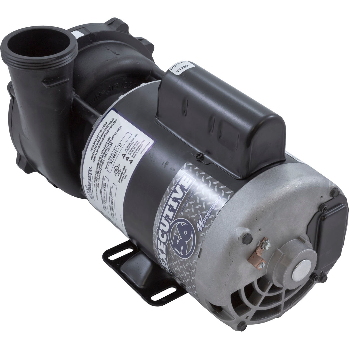 Pump, WW Exec, 2.0hp, 230v, 2-Spd, 56fr, 2-1/2" x 2", OEM : 3720821-13 - Waterway Plastics - 806105076724 - PartsForSpas.com
