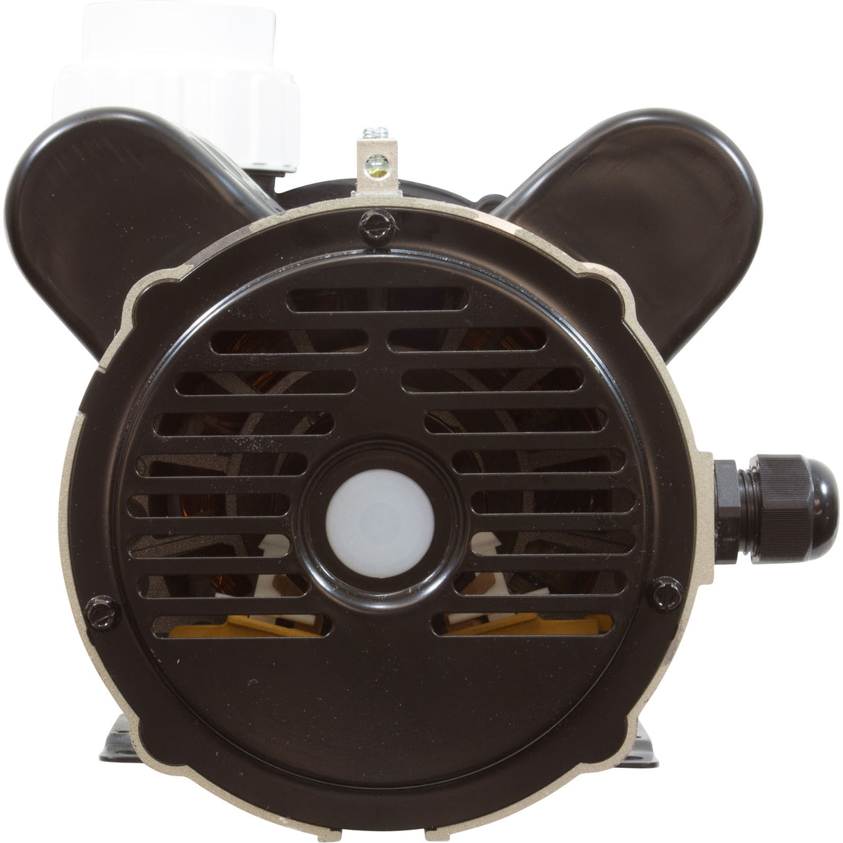 Pump, LX 48WUA, 2.0hp, 230v, 2-Spd, 48Fr, 2" : 48WUA2002C-II - Lingxiao (LX) Pump - 48WUA2002C-II - PartsForSpas.com