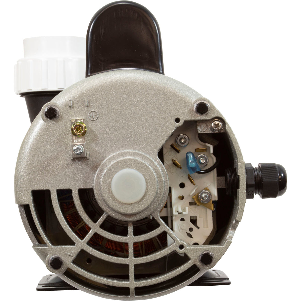 Pump, LX 56WUA, 3.0hp, 230v, 1-Spd, 56Fr, 2", SD : 56WUA300-I - Lingxiao (LX) Pump - 56WUA300-I - PartsForSpas.com