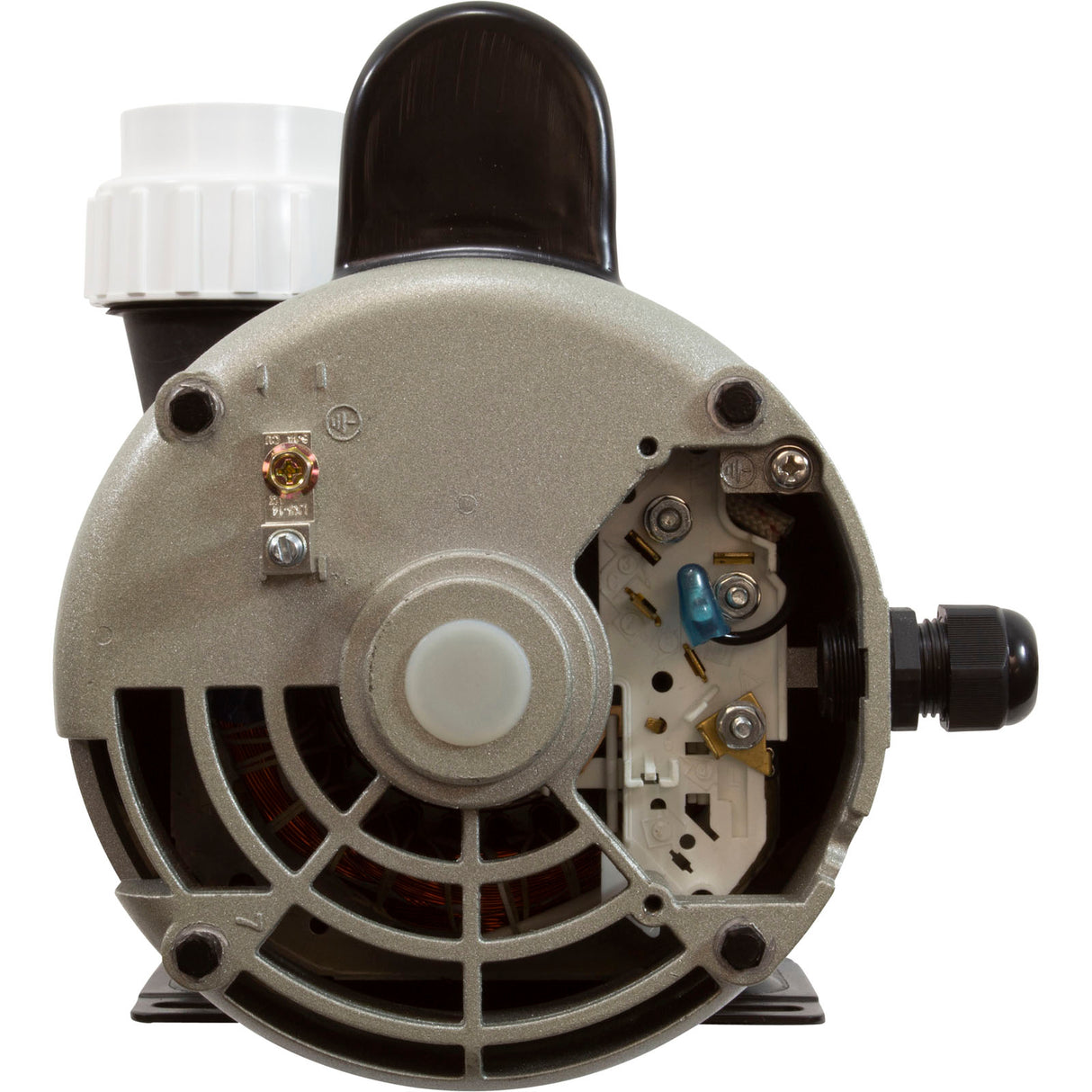 Pump, LX 56WUA, 4.0hp, 230v, 2-Spd, 56Fr, 2", SD : 56WUA400-II - Lingxiao (LX) Pump - 56WUA400-II - PartsForSpas.com