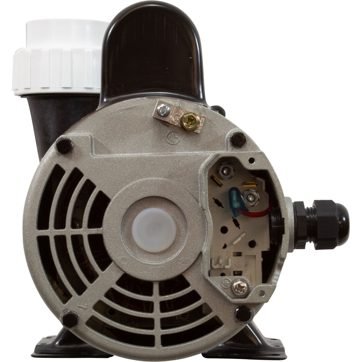 Pump, LX 48WUA, 2.0hp, 230v, 1-Spd, 48Fr, 2" : 48WUA2002C-I - Lingxiao (LX) Pump - 48WUA2002C-I - PartsForSpas.com