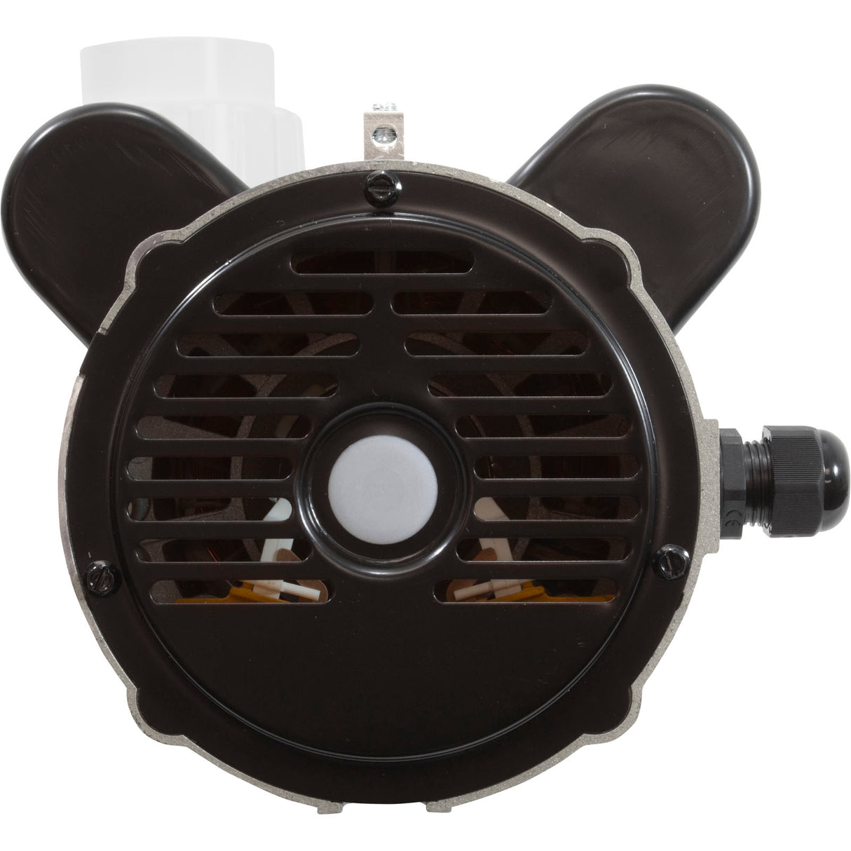 Pump, LX 48WUA, 2.0hp, 230v, 2-Spd, 48Fr, 2", SD, Bracketless : 48WUA2002C-II(NF) - Lingxiao (LX) Pump - 48WUA2002C-II(NF) - PartsForSpas.com