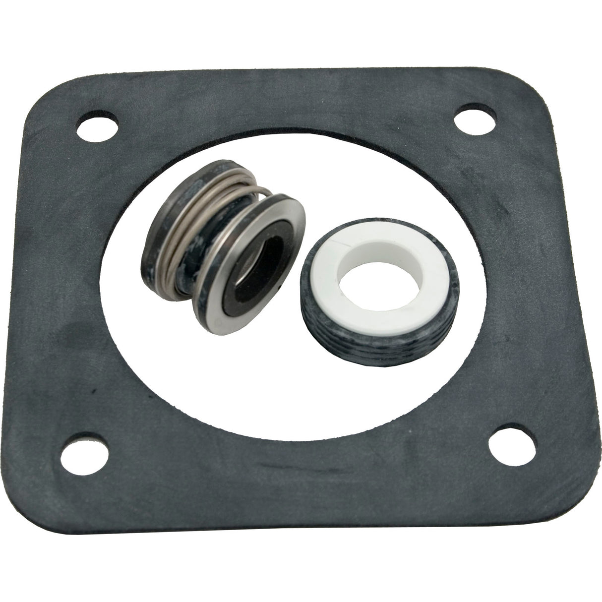 Seal Kit, Pentair Sta-Rite DuraGlas : PP1200 - StaRite/Pentair - 022315219946 - PartsForSpas.com
