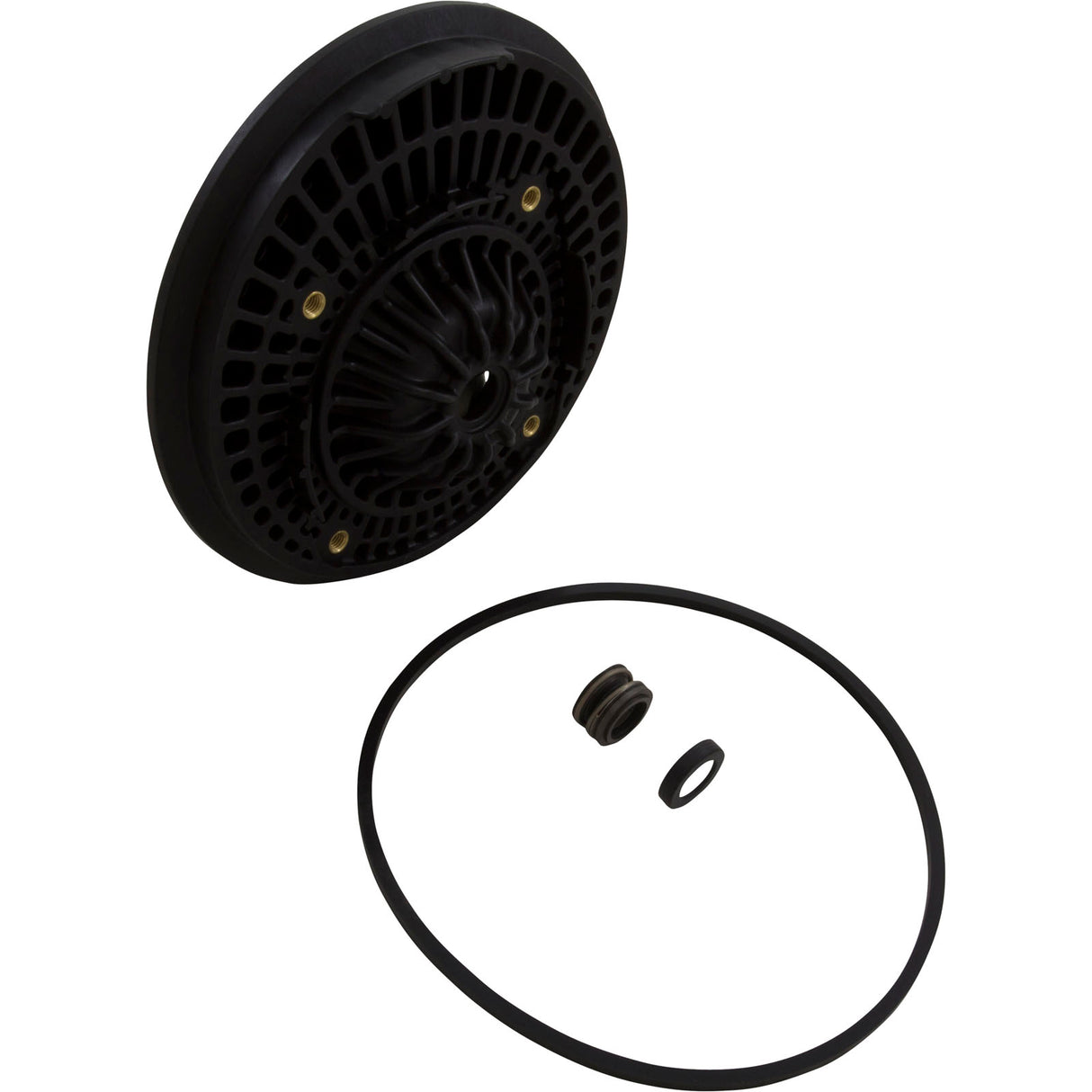 Seal Plate, Pentair Sta-Rite DuraGlas II : C203-194P - StaRite/Pentair - 022315214132 - PartsForSpas.com