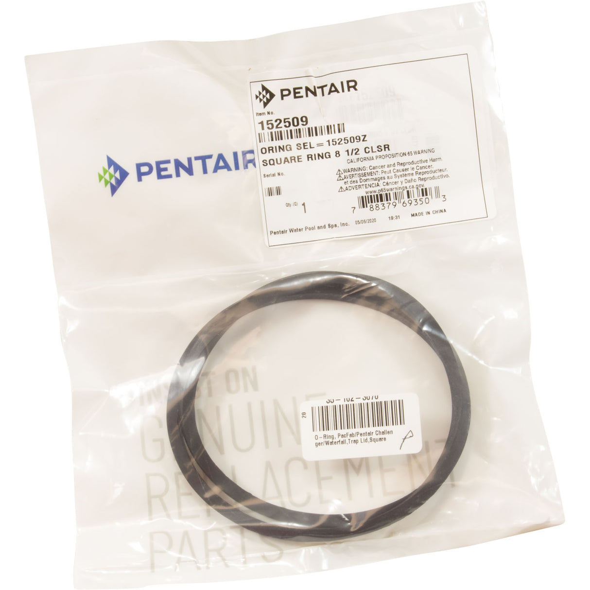 O-Ring, PacFab/Pentair Challenger/Waterfall, Trap Lid, Square : 152509Z