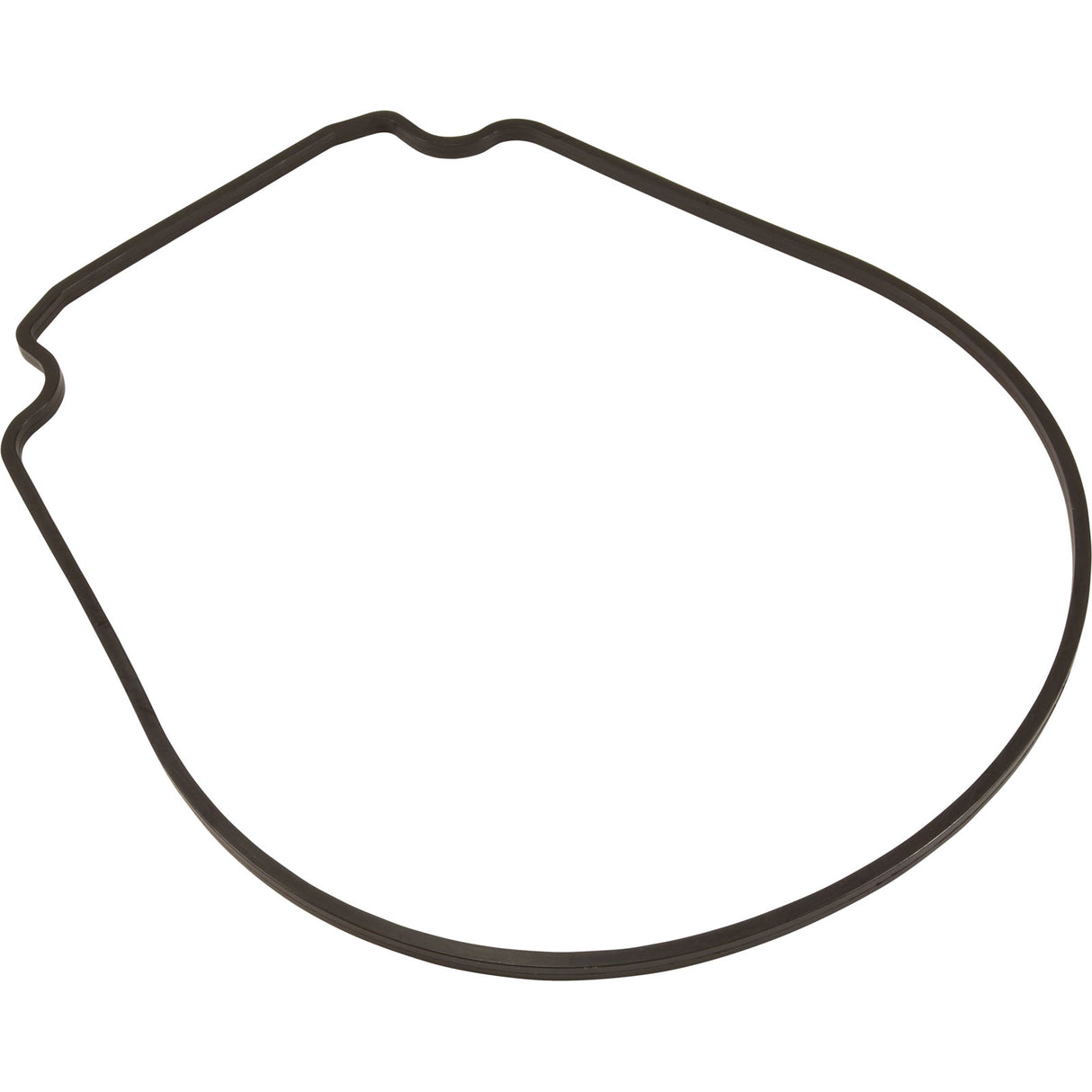 Gasket, Pentair Purex IntelliFlo VS, Seal Plate, Special ID/OD : 357100Z