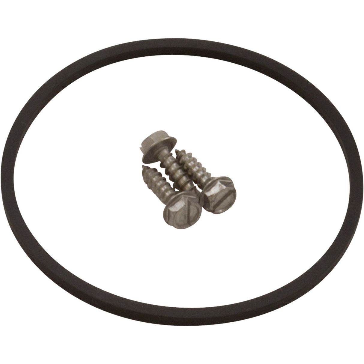 Trap/Pump Body, Carvin B : 16113120K - Carvin - 16113120K - PartsForSpas.com
