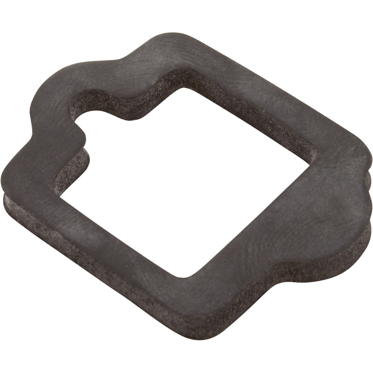 Gasket, Pentair IntelliFlo VS, Drive : 350108