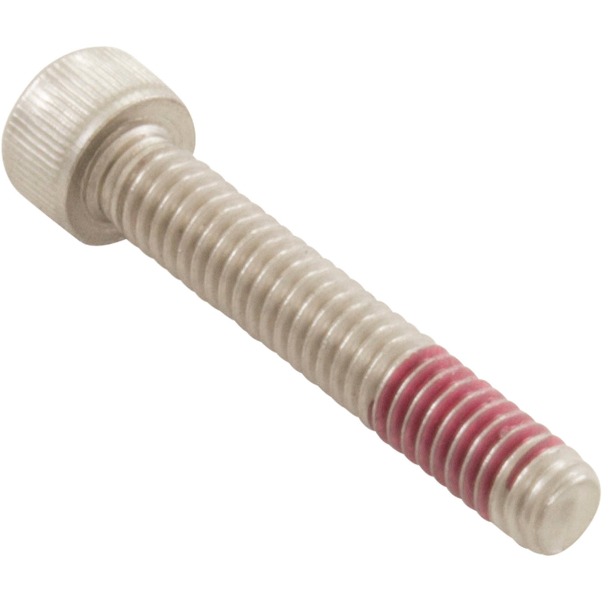 Diffuser Screw, Pentair IntelliFlo XF, 8-32 x 1” : 353323