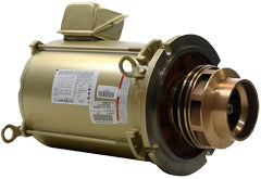 Motor, Pentair, 20.0hp, 380v-415v, 3ph, 50Hz, C-Ser, CHKL-200, Kit : 014805