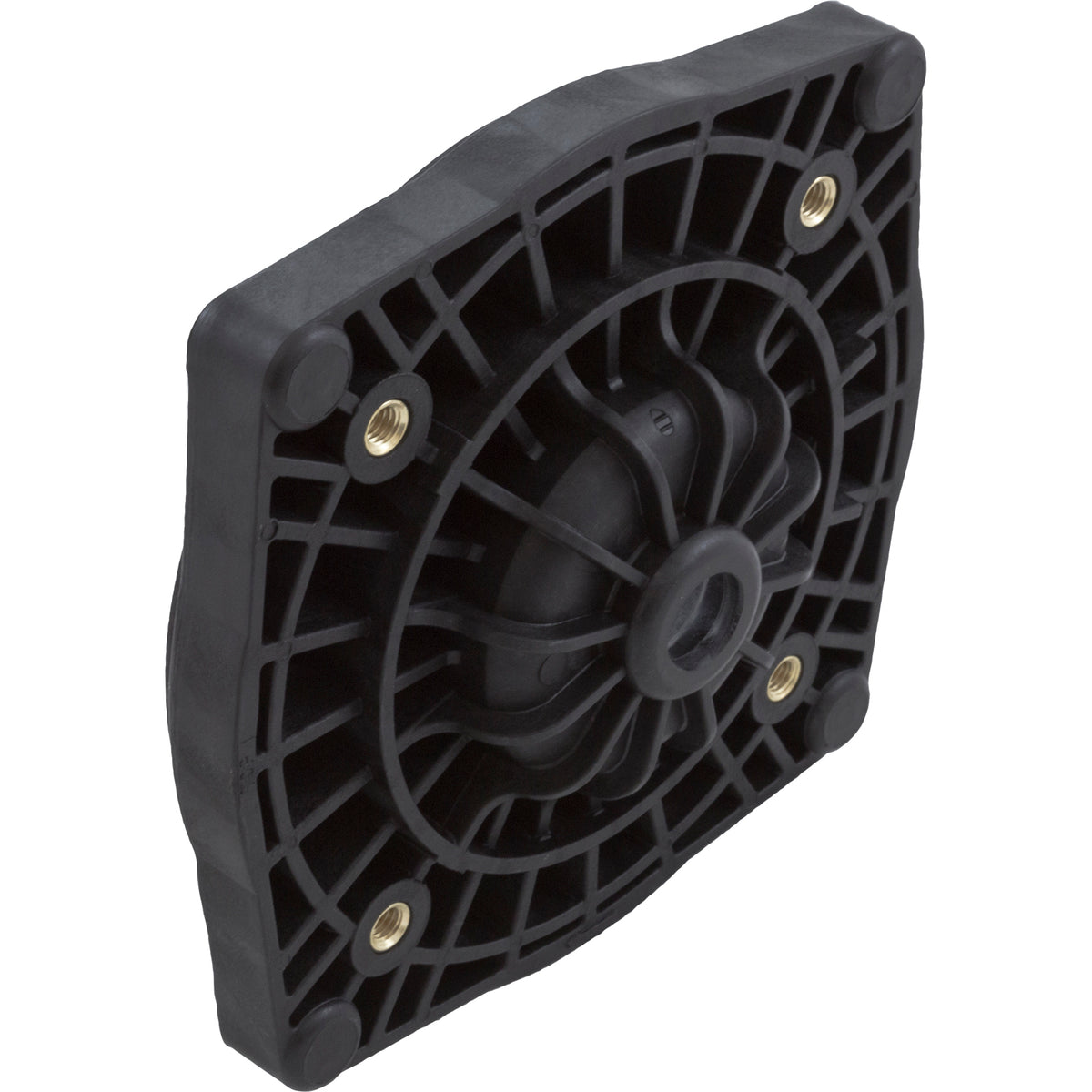 Seal Plate, Pentair StaRite SuperMax, Black : 355612Z