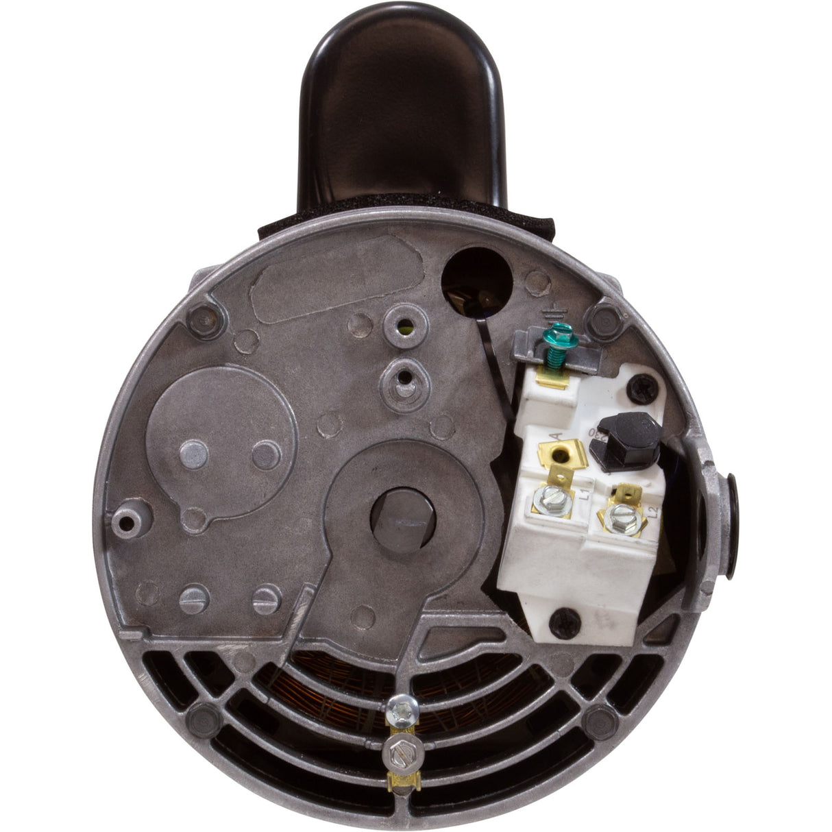Motor, Century, 1.5hp, 115/230v, 16/8Amp, 1-Speed, 56Fr : B2854V1