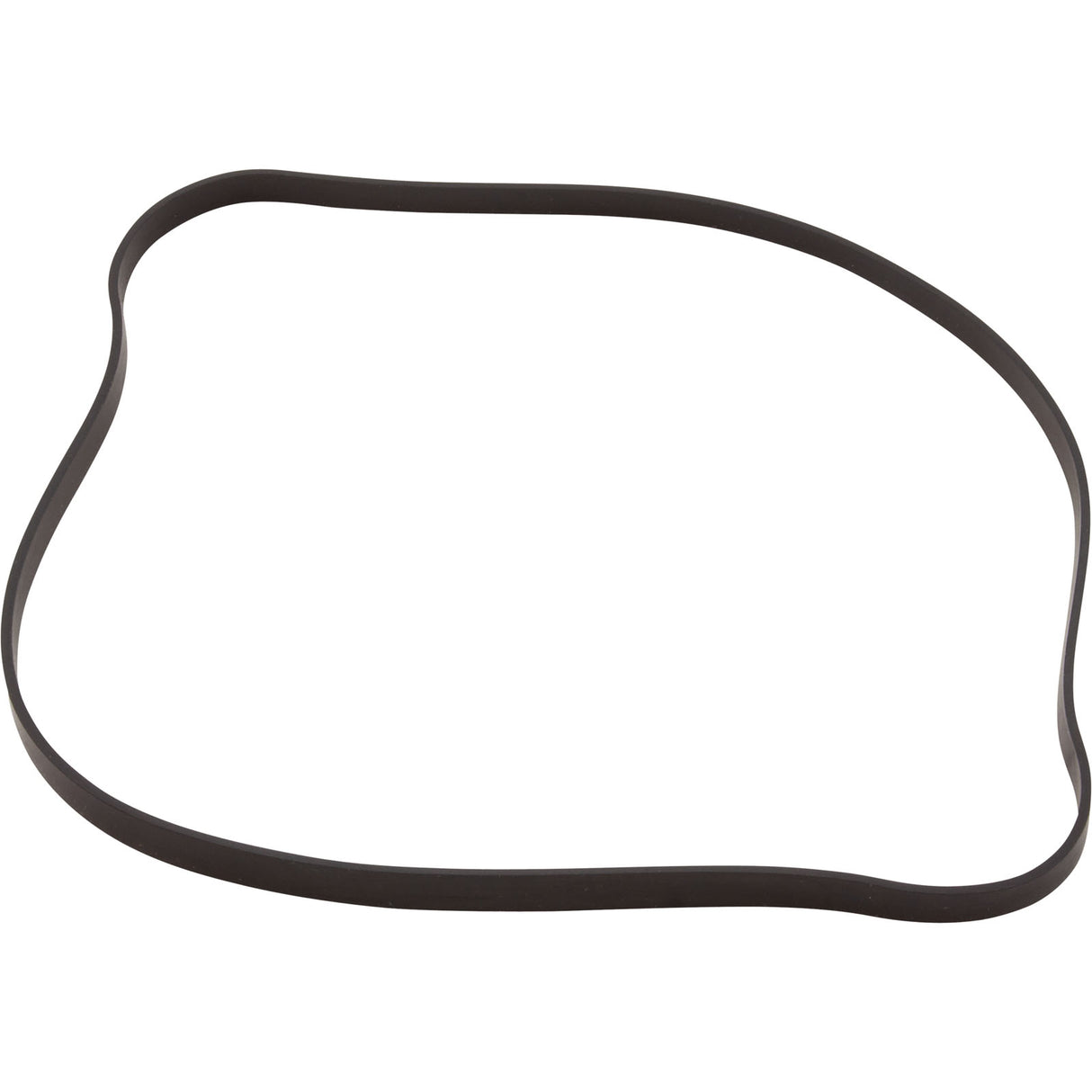 Gasket, Hayward Max-Flo, Seal Plate, 6-1/2"ID, 6-5/8"OD : SPX1600T