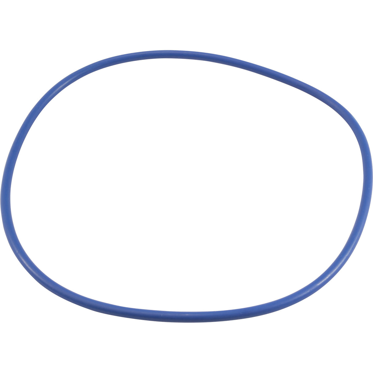 O-Ring, Hayward EasyClear, Filter Cover : CX400G