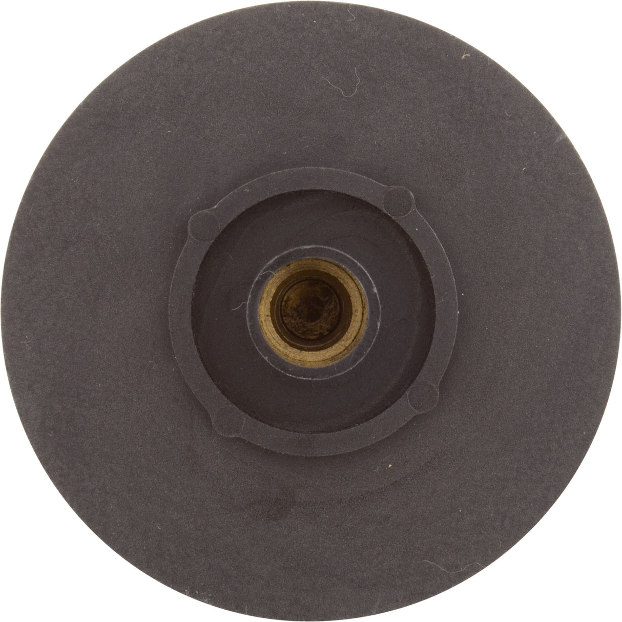 Impeller, Raypak Protege RPAGP75 : 018249F - Raypak - 840891043256 - PartsForSpas.com
