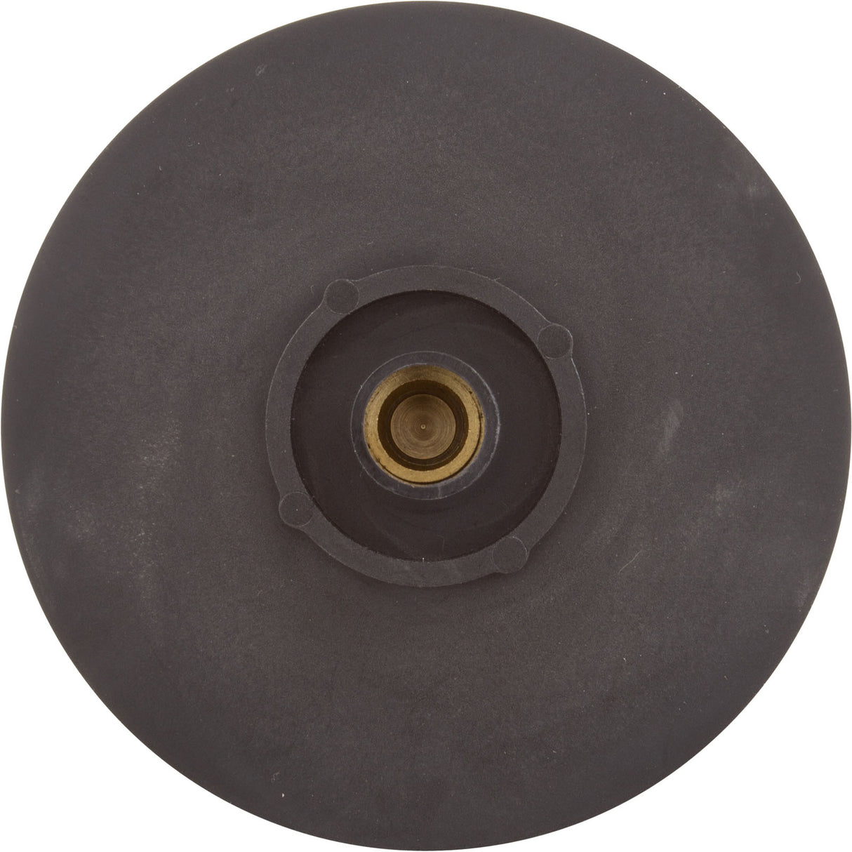 Impeller, Raypak Protege RPAGP150/152 : 018251F - Raypak - 840891043271 - PartsForSpas.com