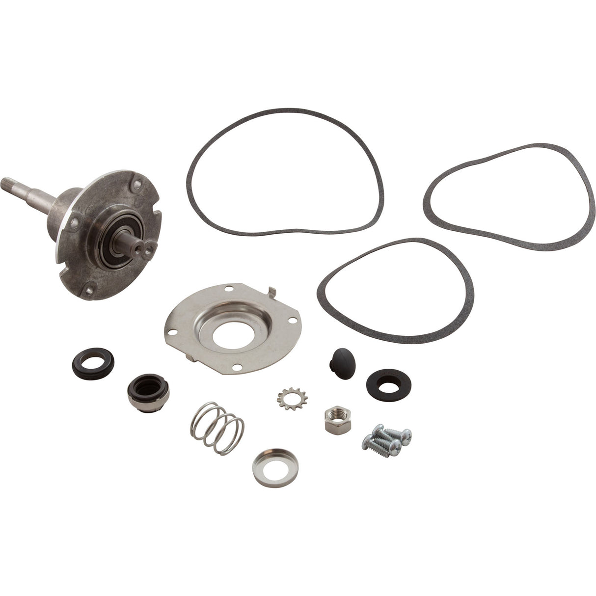 Pump Bearing Kit, Lochinvar : 100277757 - Lochinvar, LLC - 100277757 - PartsForSpas.com