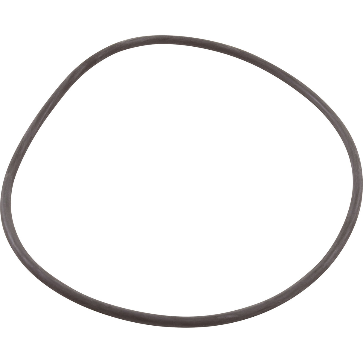 O-Ring, Astral Pump Strainer, Lid : 4405010437