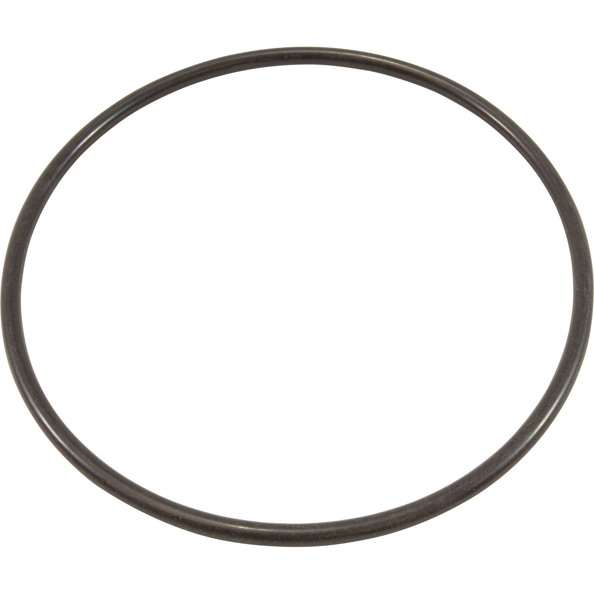 O-Ring, Waterco Hydrostorm Plus, Trap Lid : WC61214